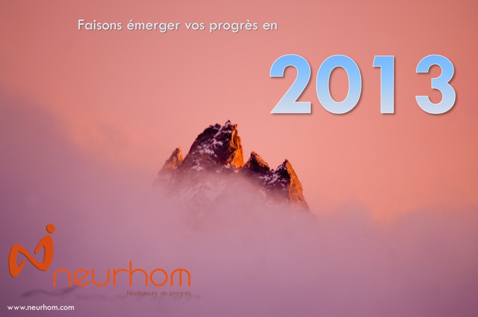 Carte voeux 2013 Neurhom